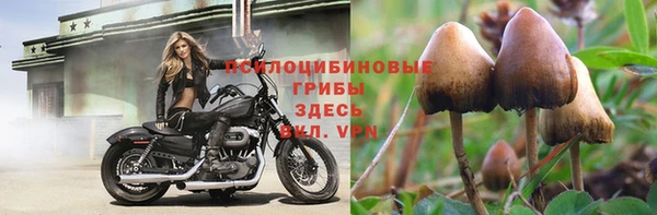 a pvp Краснослободск